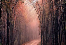 爱游戏官网:续约在望!经纪人:什琴斯尼和巴萨相互满意,很容易就能达成续约.