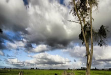 爱游戏官网：续约在望！经纪人：什琴斯尼和巴萨相互满意，很容易就能达成续约.