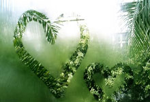 爱游戏官网：德甲综合：拜仁两轮不胜 多特两连败2025-03-17.