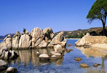 爱游戏官网：韵动节拍｜春和景明 运动满分.